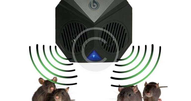 Mouse Sound Device