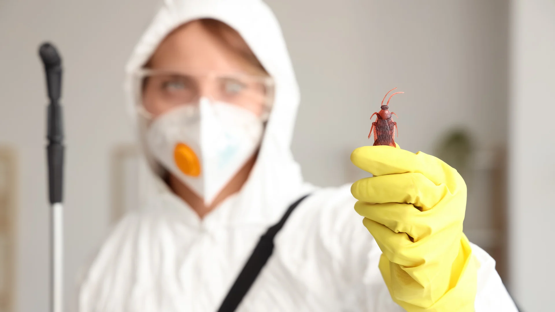 Cockroach Pest Control (3)