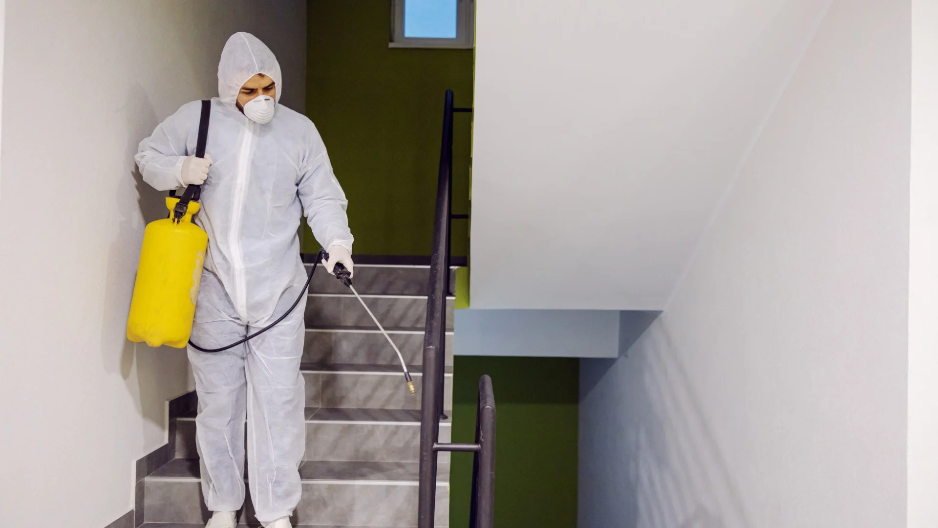 Residential Pest Control (2)