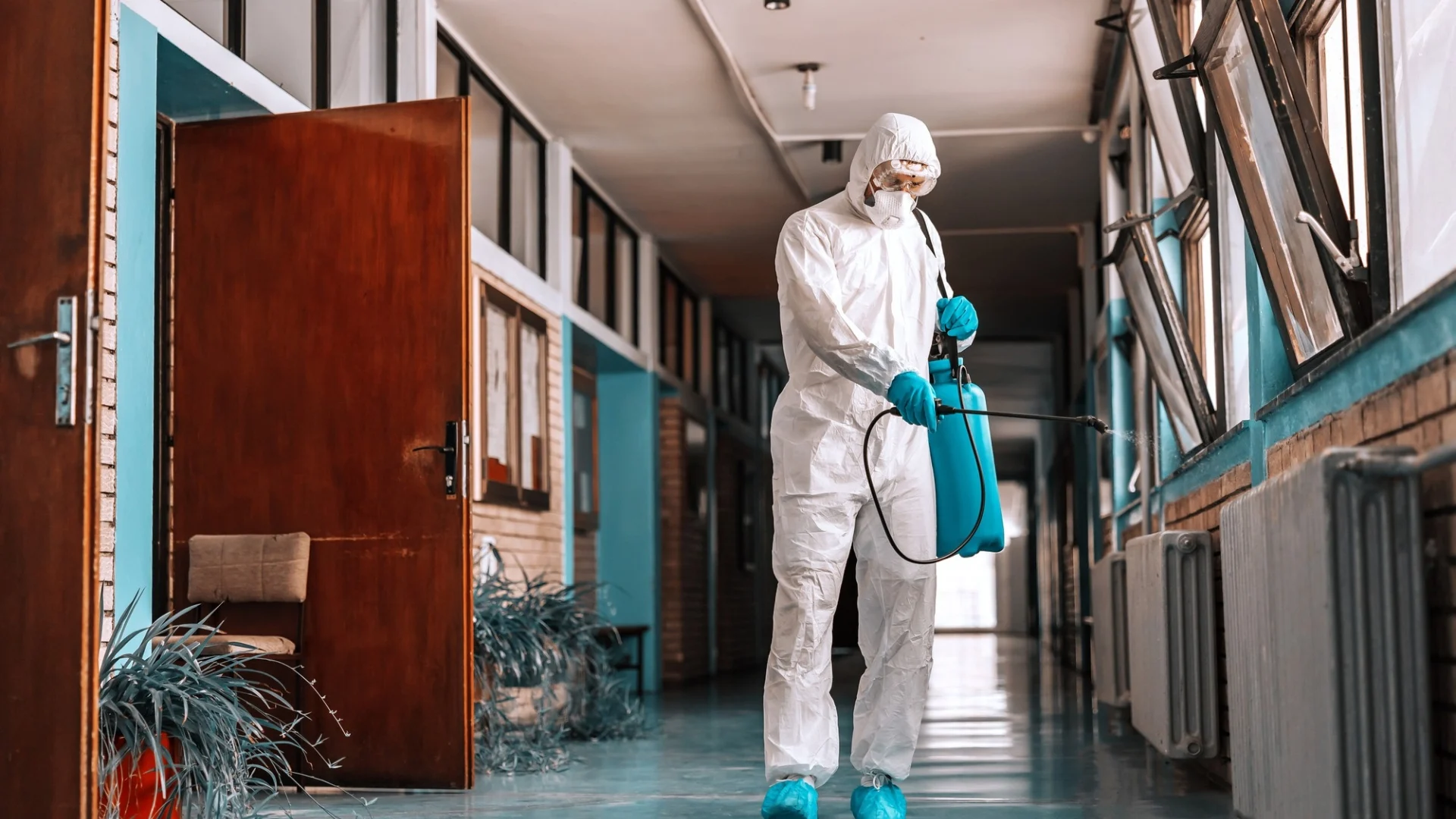 Residential Pest Control (3)